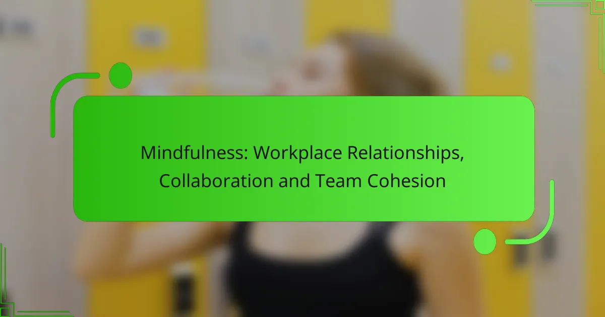Mindfulness: Workplace Relationships, Collaboration and Team Cohesion